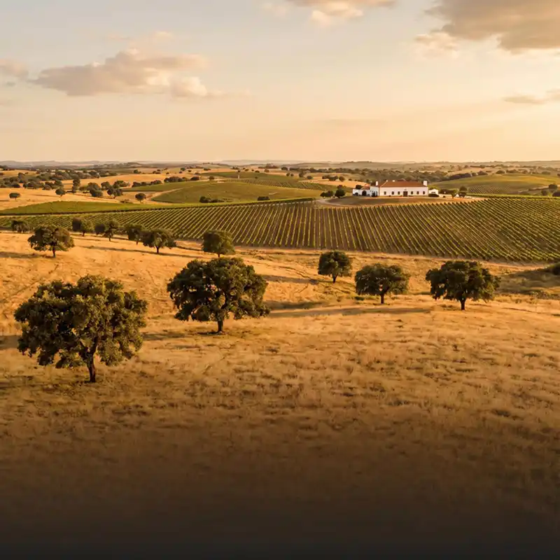 Weite Ebenen des Alentejo mit Korkeichen
