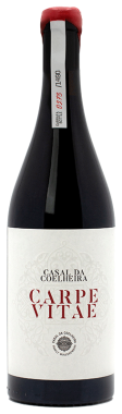 Rotwein Casal da Coelheira Amphora Tejo Portugal