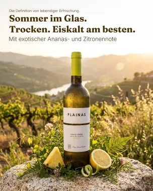 Preview: Vinho Verde Weißwein Plainas 2025